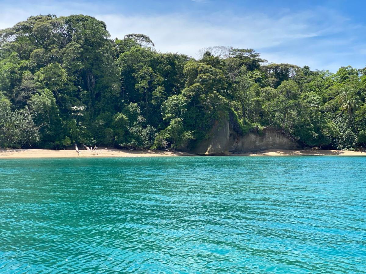 Hotel Caribbean View バスティメントス エクステリア 写真