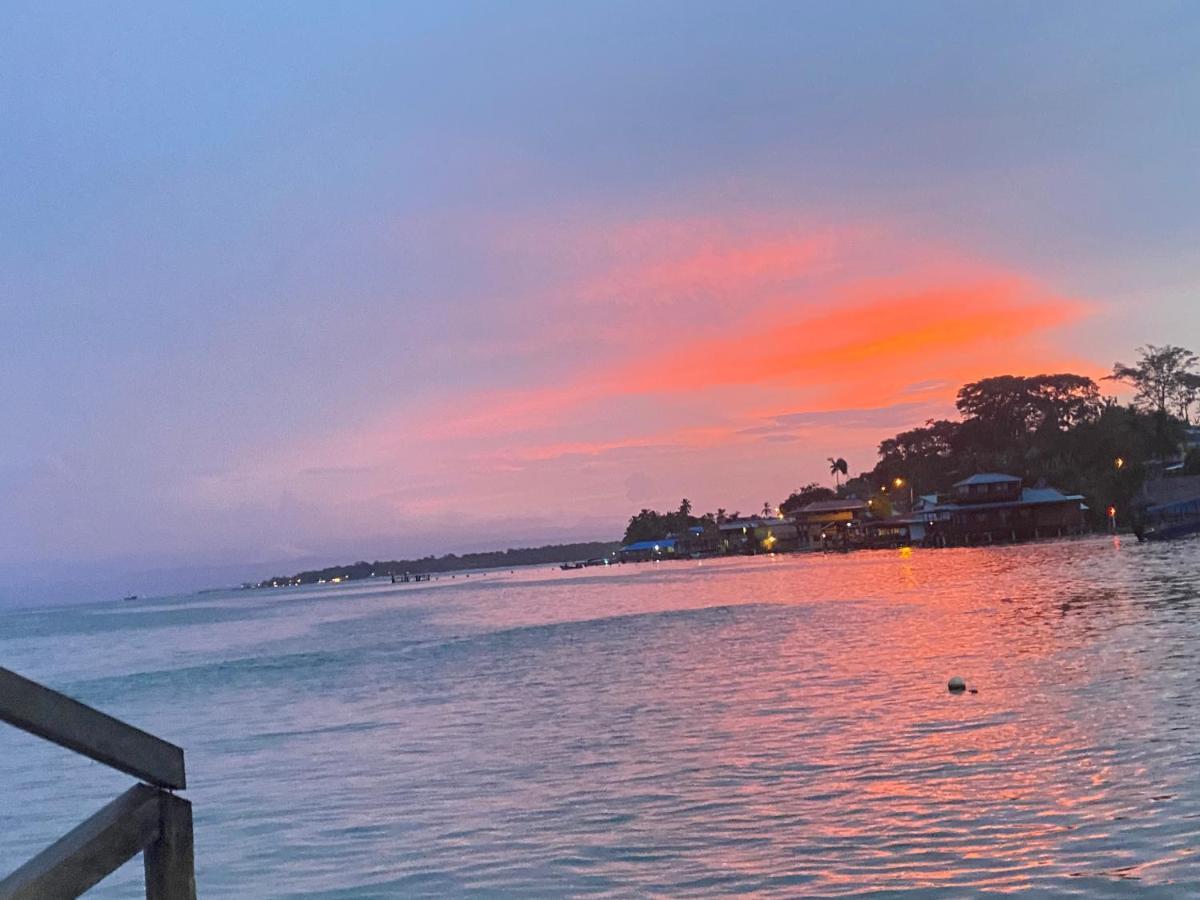 Hotel Caribbean View バスティメントス エクステリア 写真