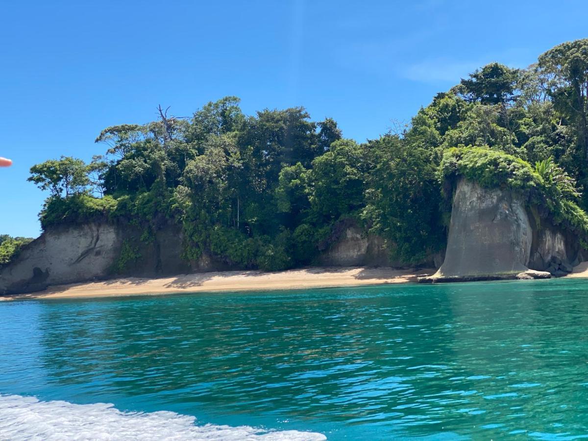 Hotel Caribbean View バスティメントス エクステリア 写真