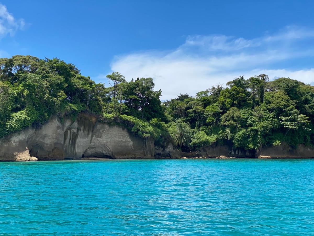 Hotel Caribbean View バスティメントス エクステリア 写真