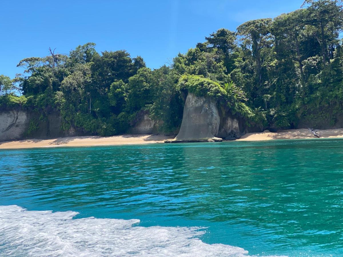 Hotel Caribbean View バスティメントス エクステリア 写真