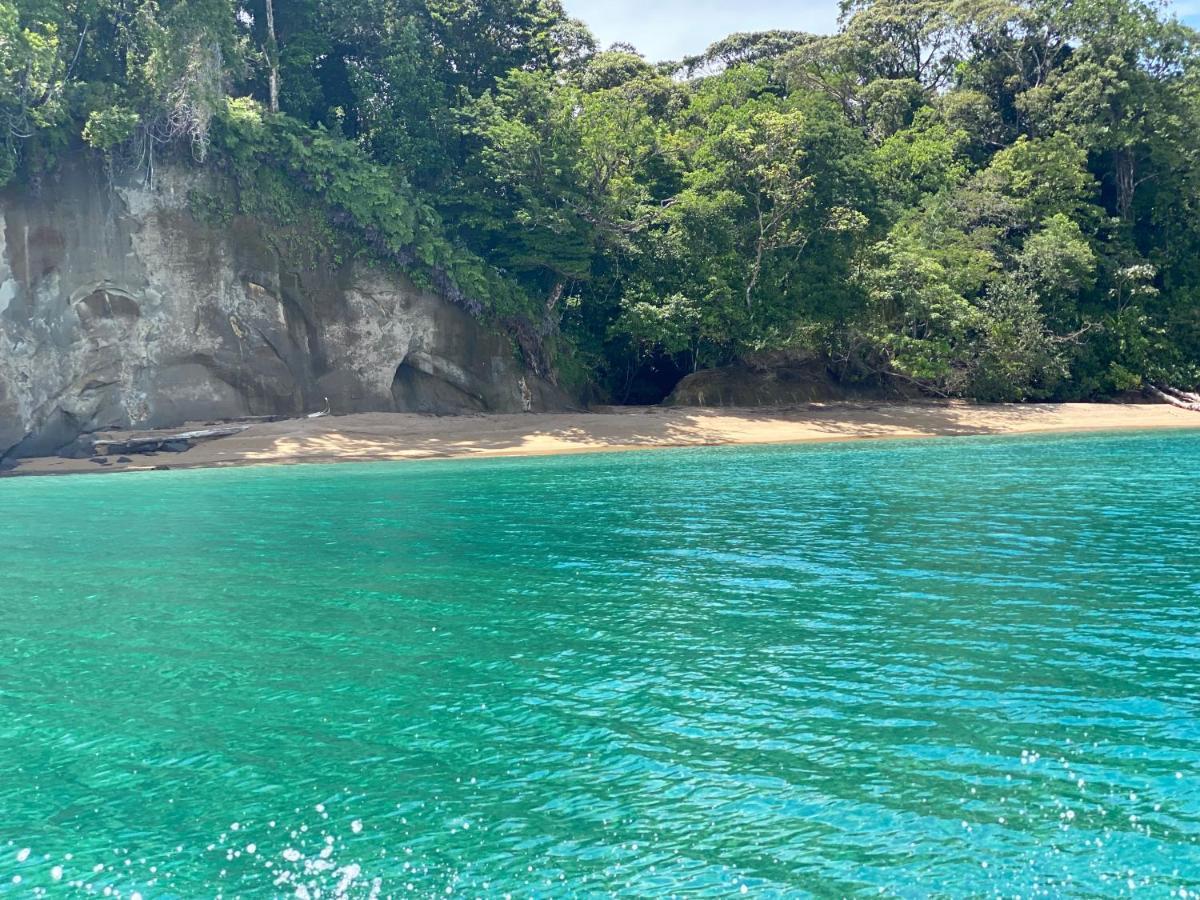 Hotel Caribbean View バスティメントス エクステリア 写真