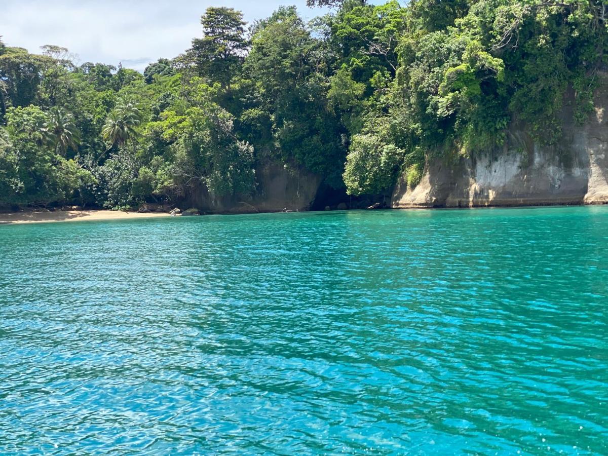 Hotel Caribbean View バスティメントス エクステリア 写真