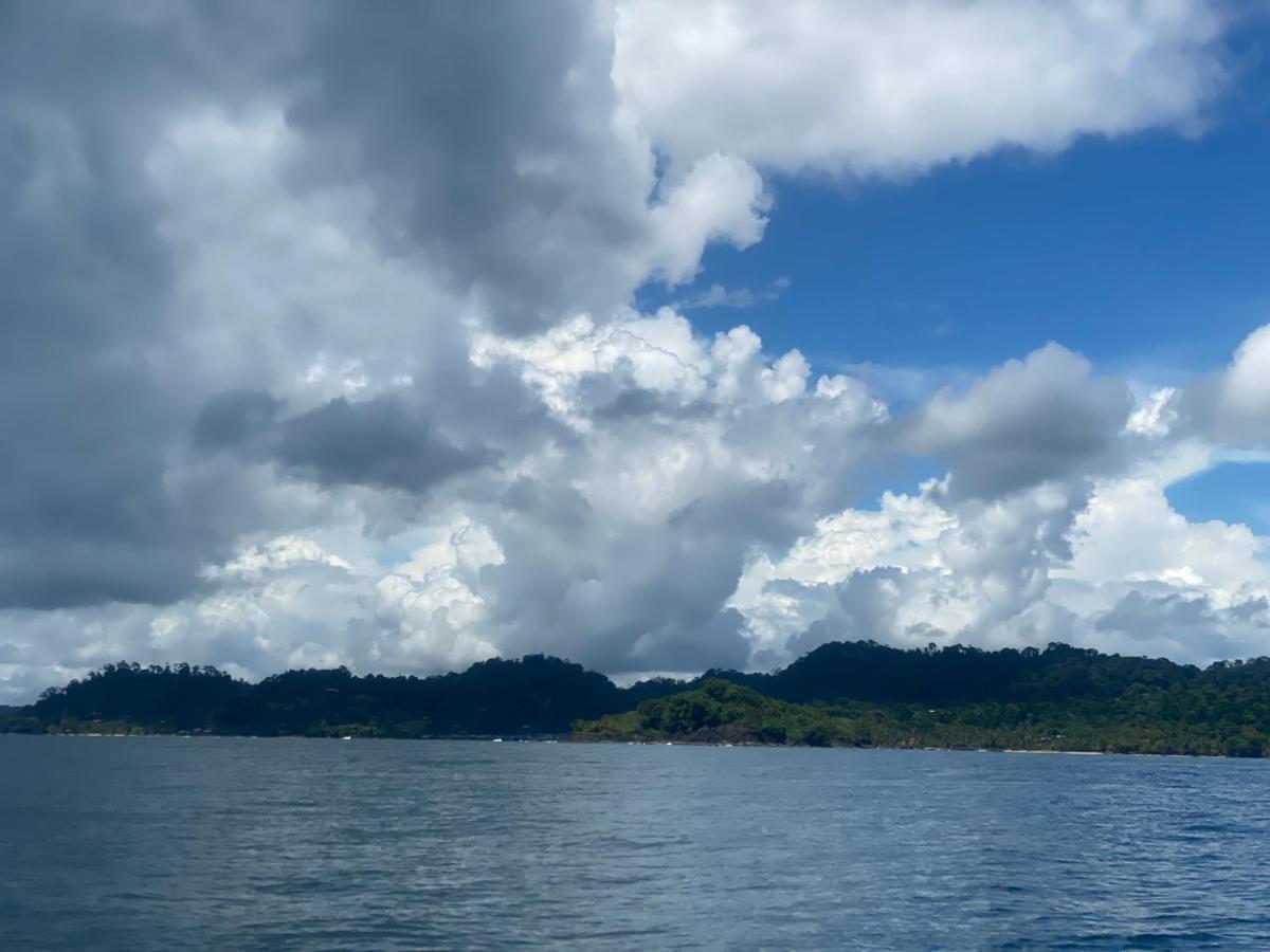 Hotel Caribbean View バスティメントス エクステリア 写真