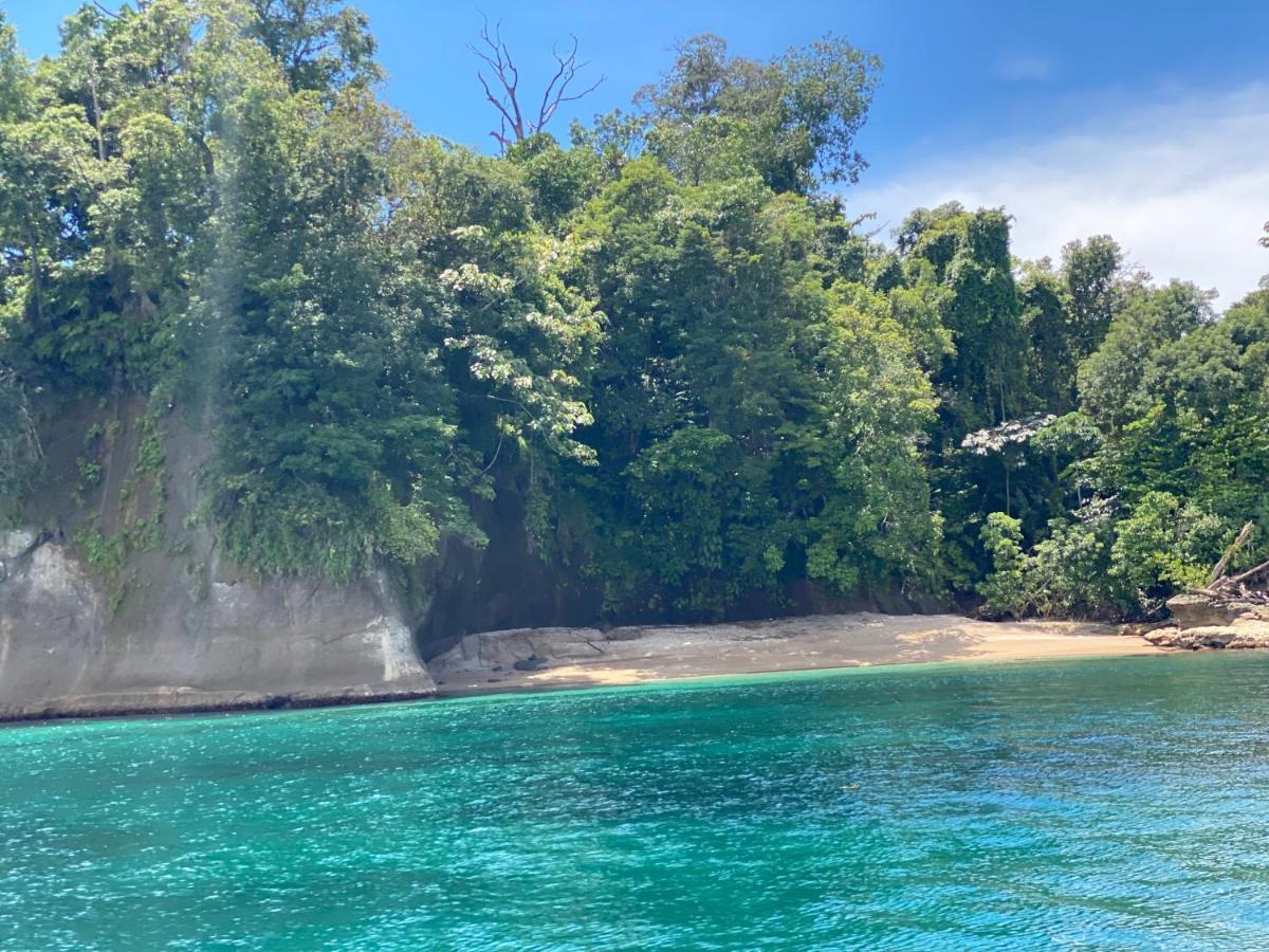 Hotel Caribbean View バスティメントス エクステリア 写真