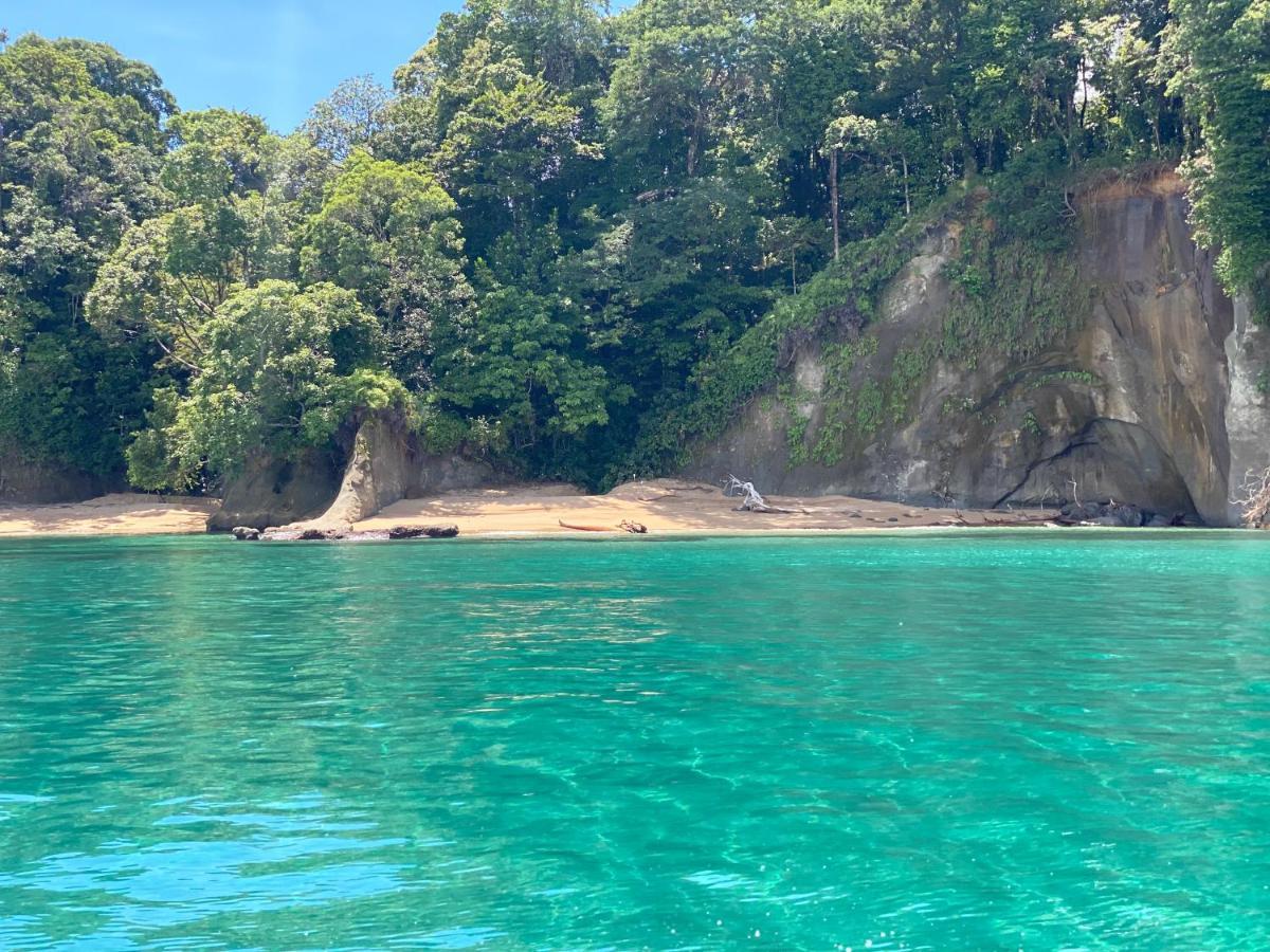 Hotel Caribbean View バスティメントス エクステリア 写真