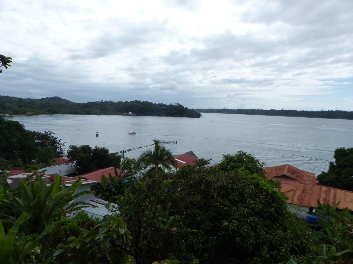 Hotel Caribbean View バスティメントス エクステリア 写真
