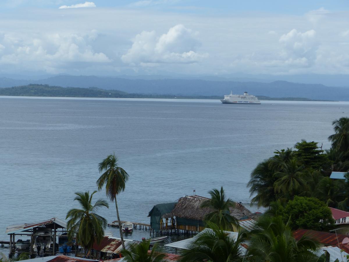 Hotel Caribbean View バスティメントス エクステリア 写真